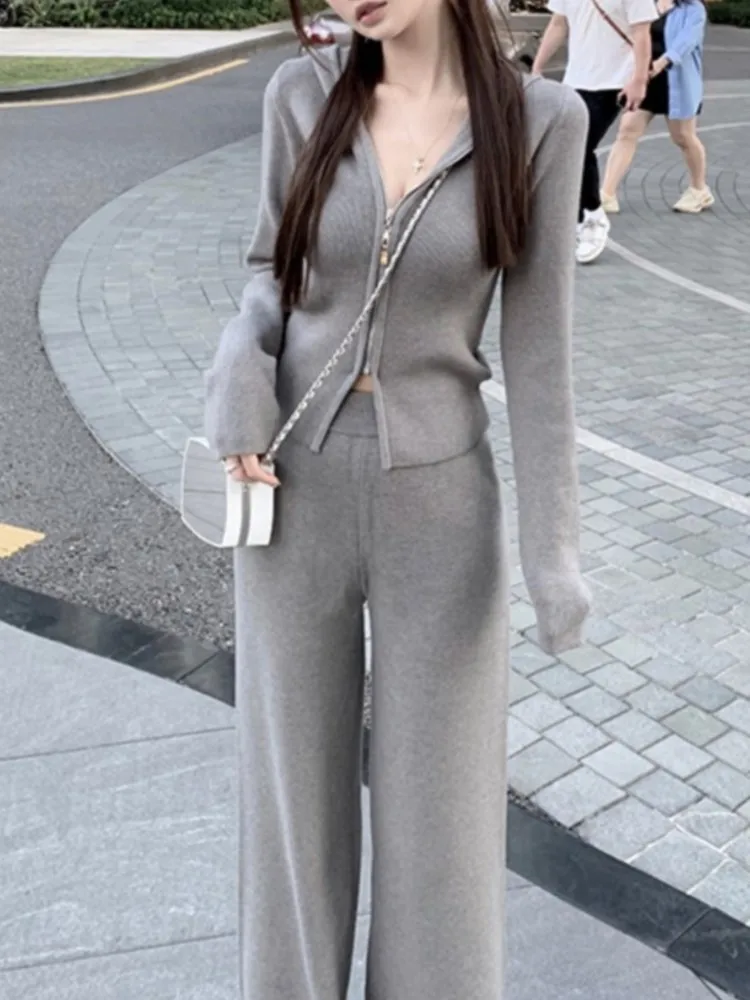 Women Fashion Slim Knitted Tracksuits 2 Piece Set Autumn Winter Casual Hooded Zip-up Short Coat Trousers Outfits Femme Clothing