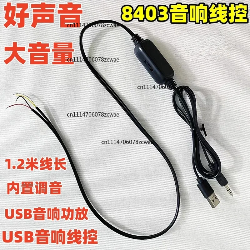 PAM8403 Mini Audio Box Wire Control Power Amplifier Board USB5V Power Supply 2.0 Channel Stereo Vocal Cord Tone Amplifier