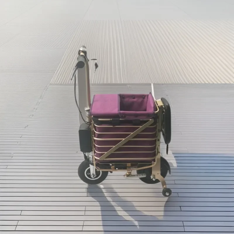 Mini Foldable Electric Tricycle 3 Wheel Scooter For Elderly Luggage Carrier Cycling Power Pedal Assist Travel Shopping