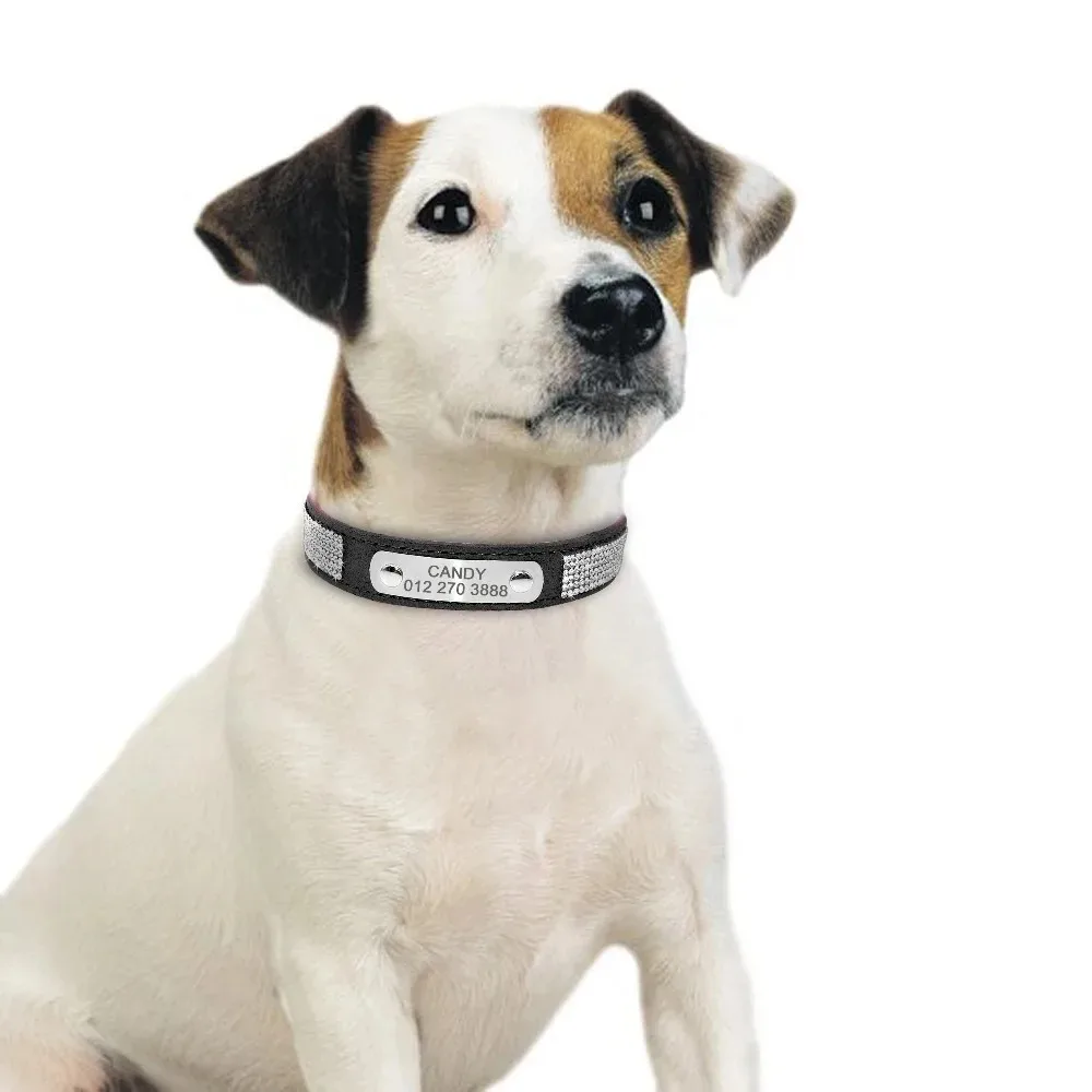Personalisiertes Anti-Verlust-Haustier-ID-Tag – eingravierter Edelstahl mit Namen und Telefonnummer für kleine bis mittelgroße Haustiere, Halsband-Zubehör – Detail 10