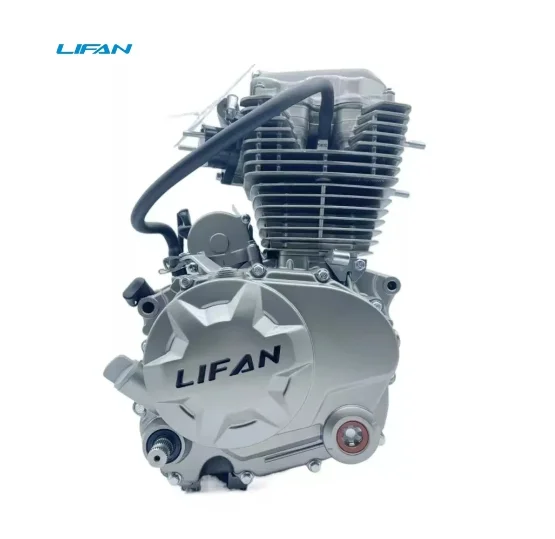 OEM Lifan Cg125 Motorcycle Engine Assembly Air-cooling 125cc for Cargo Agricultural Three-wheel Motorcycle Engine Parts view 2