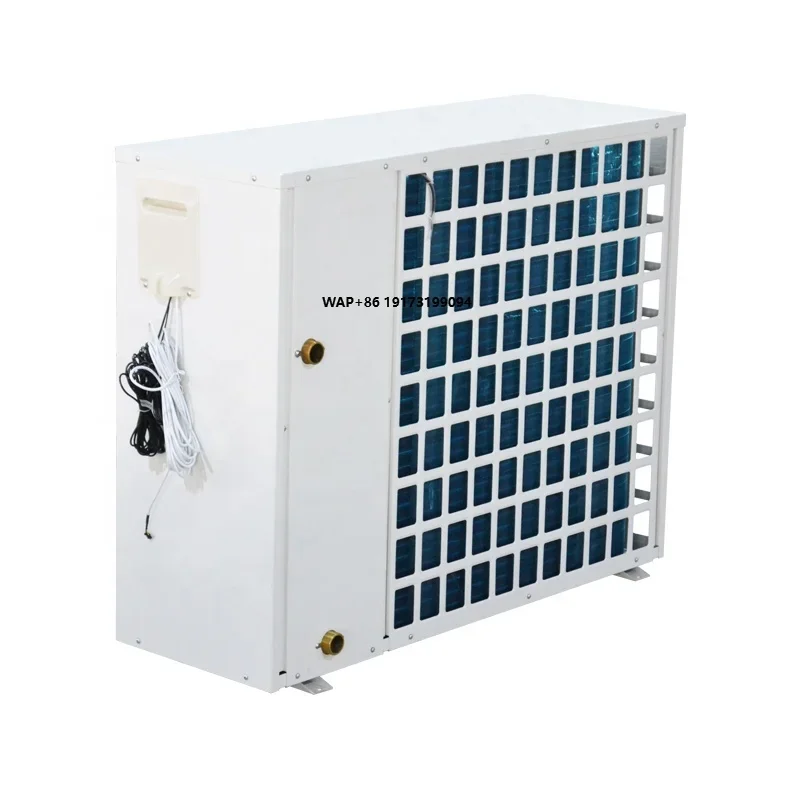 R32 R290 Climate Inverter Heating Cooling EVI Inverter 10KW Monoblock Air to Water Heat Pum
