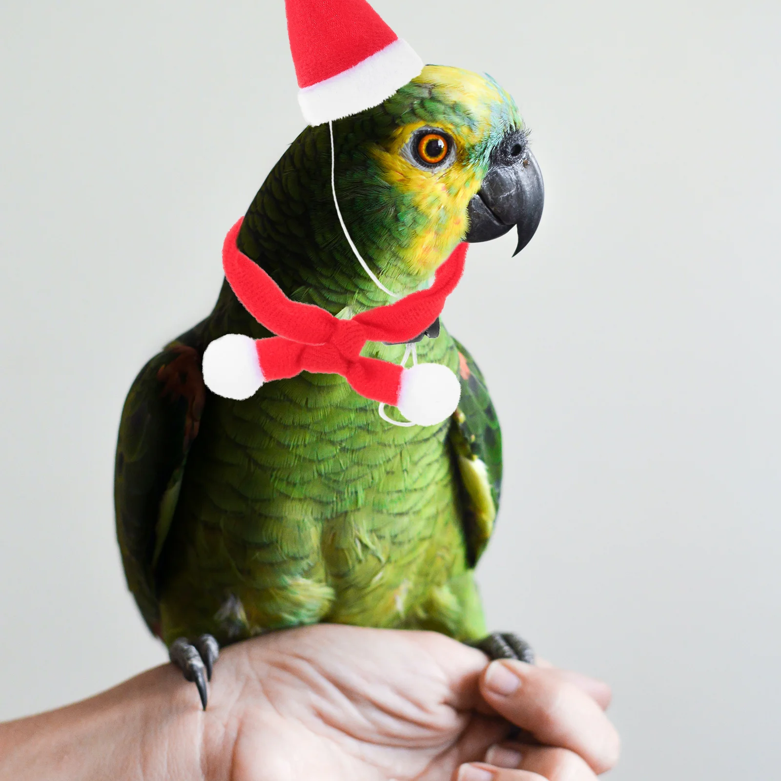 

6Pcs Xmas Pet Hat and Scarf Set Christmas Dog Cat Costume Supplies Party Decorative Accessories Xmas Pet Hat and Scarf