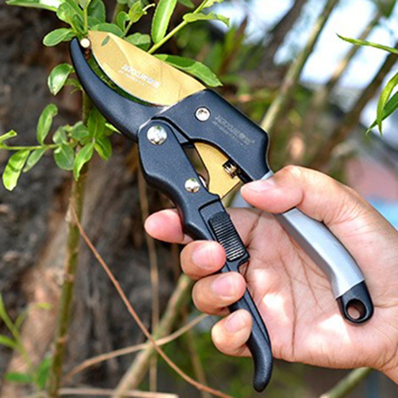 

Fruit Tree Pruning Scissors Garden Tree Branches Labor-saving Pruning Shears Flower Bonsai Tools Gardening Shears Manual Tool