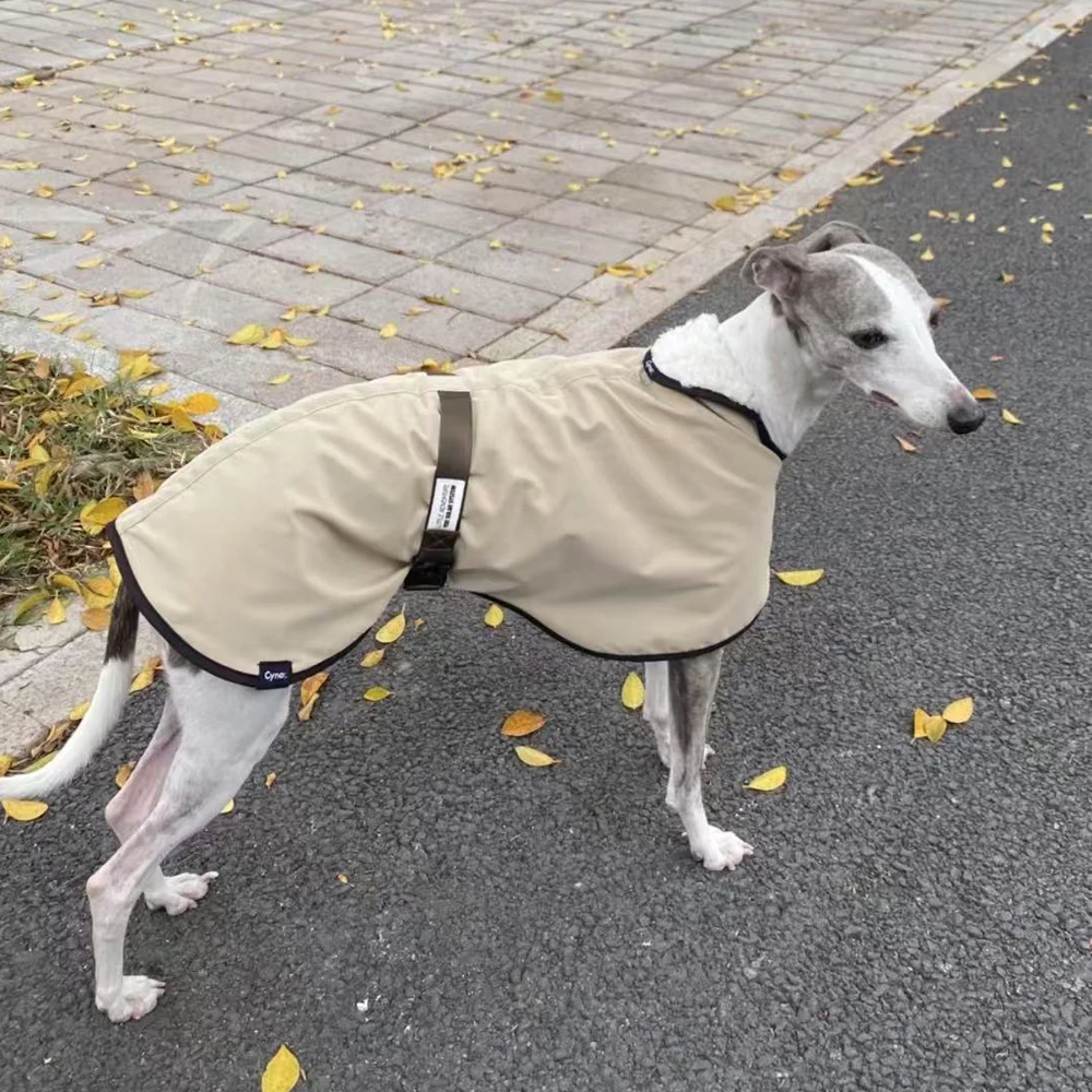 سترة شتوية مقاومة للرياح من صو - مراجعة Winter Clothing For Dogs وسعره