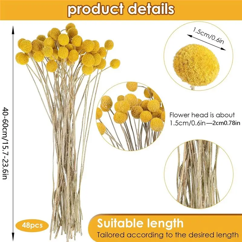 ABKJ-48 قطعة الزهور المجففة الكرات المجففة المجففة Craspedia الزهور زر الأصفر الزهور المجففة وهمية الحرير المجففة زهرة #6