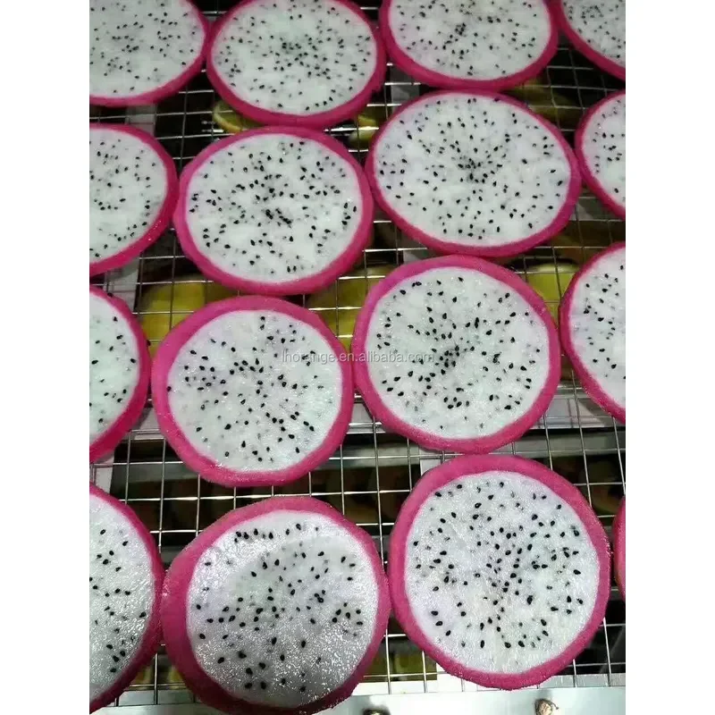 All Stainless Steel Electric Heating Blast Drying Oven Large Dehydrator Fruit/Vegetable Drying Machine 220V/110V 1 Year