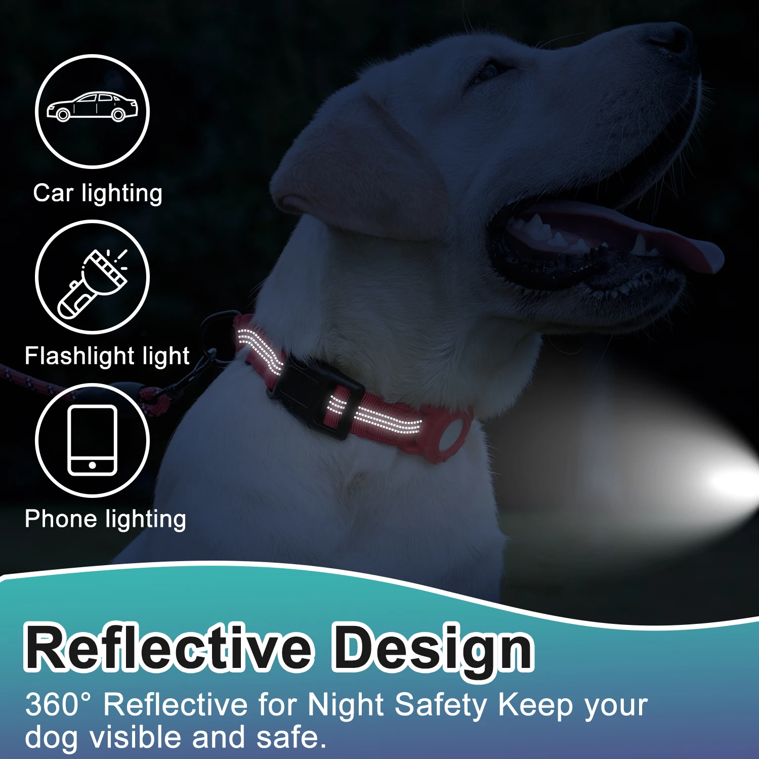 طوق كلب عاكس، مبطن من النيوبرين الناعم، حلقة على شكل حرف D معدنية، طوق حيوانات أليفة من النايلون قابل للتعديل للكلاب المتوسطة