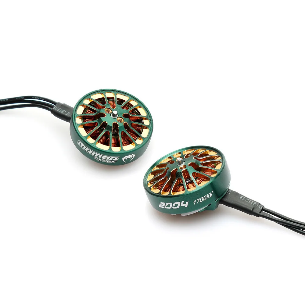 4Pcs Chase MAMBA TOKA 2004 1700KV/2900KV motor, green gold version 3.5~ 5inch factory