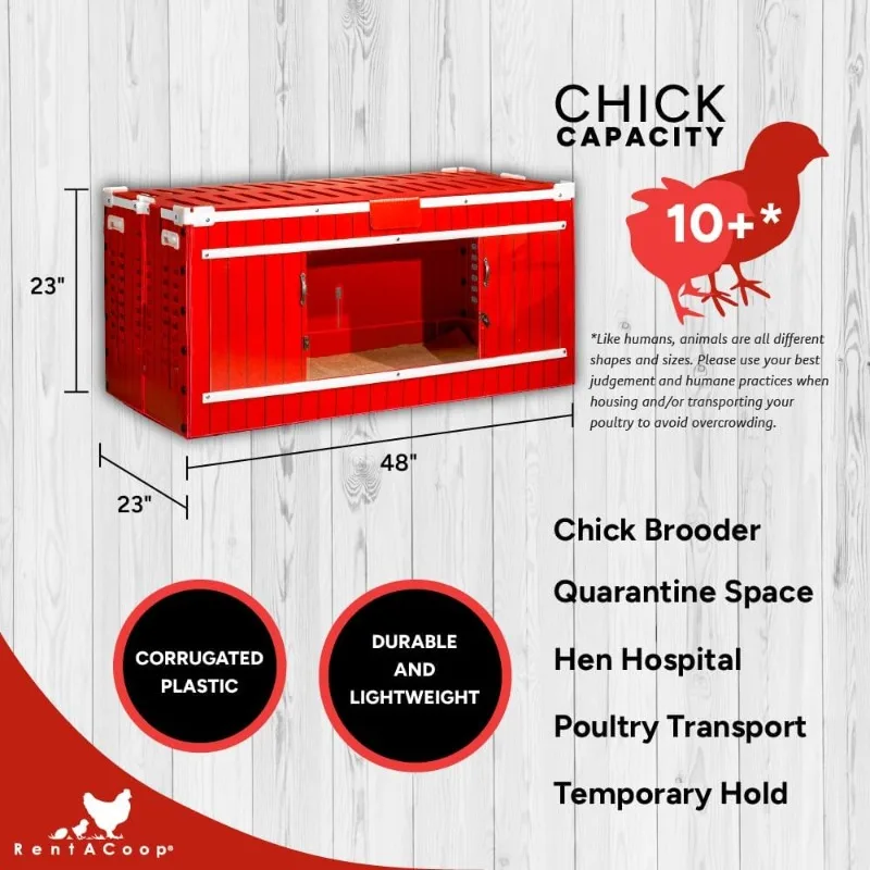 大型赤い納屋雛飼育セット（加熱プレートと止まり木防止コーン付き）、雛用餌入れ2個、雛用給水器2個、スイング付き