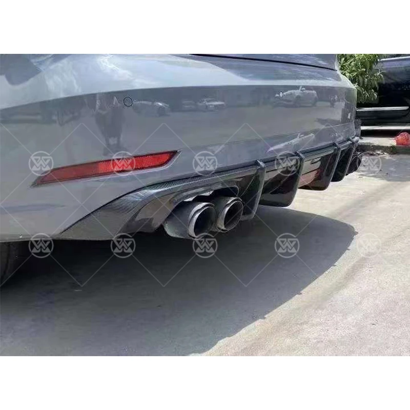 Carbon Fiber Rear B…