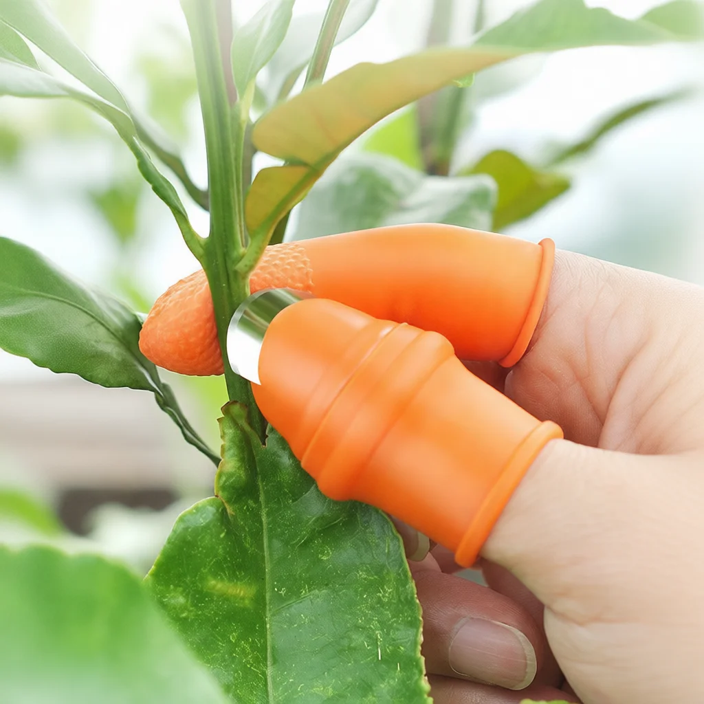 Kitchen Vegetable Thumb Knife  - Harvest Knife Garden 评论和价格