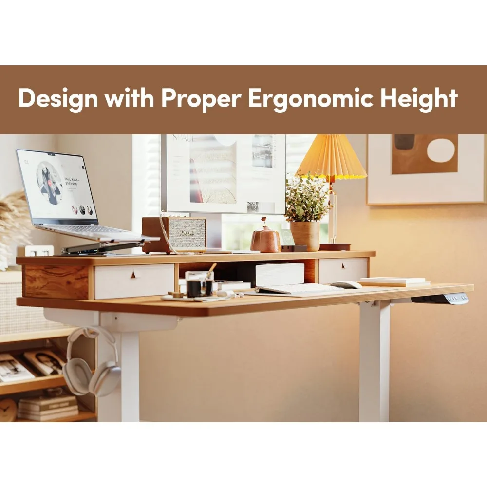 48x24 Inch Electric Standing Desk with Double Drawers, Adjustable Height Stand Up Desk,