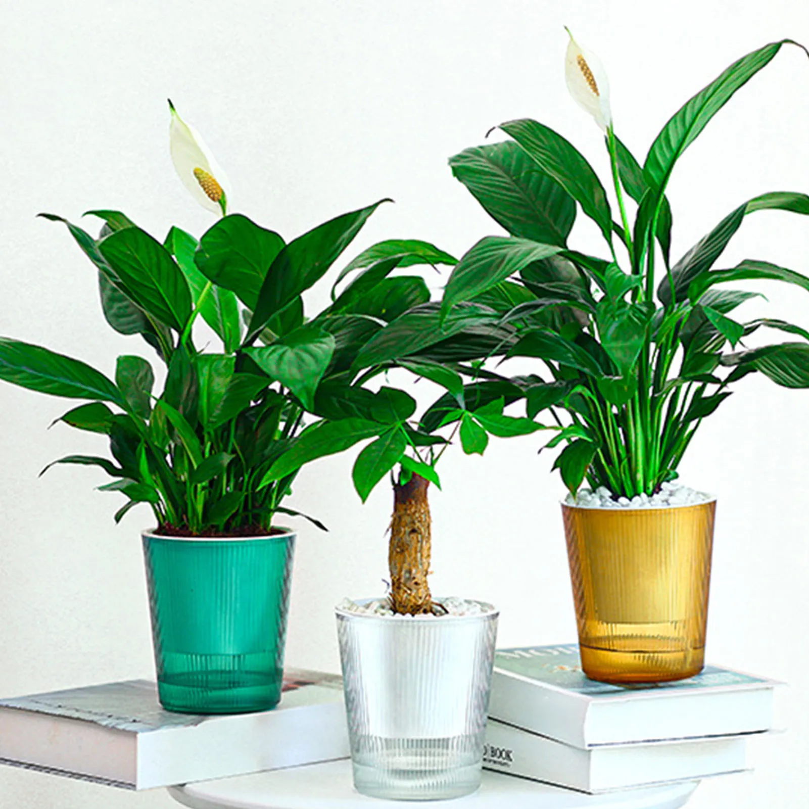 Visible Self Watering Plants Pot Self-Watering Effort Time Saving Planters for Family Friend Neighbor Gift
