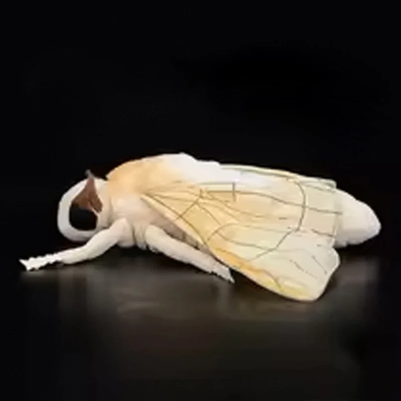 25 cm carino seta falena fedeltà baco da seta peluche volare giocattoli di peluche amanti degli insetti decorazione morbidi cuscini regalo di Halloween per bambini