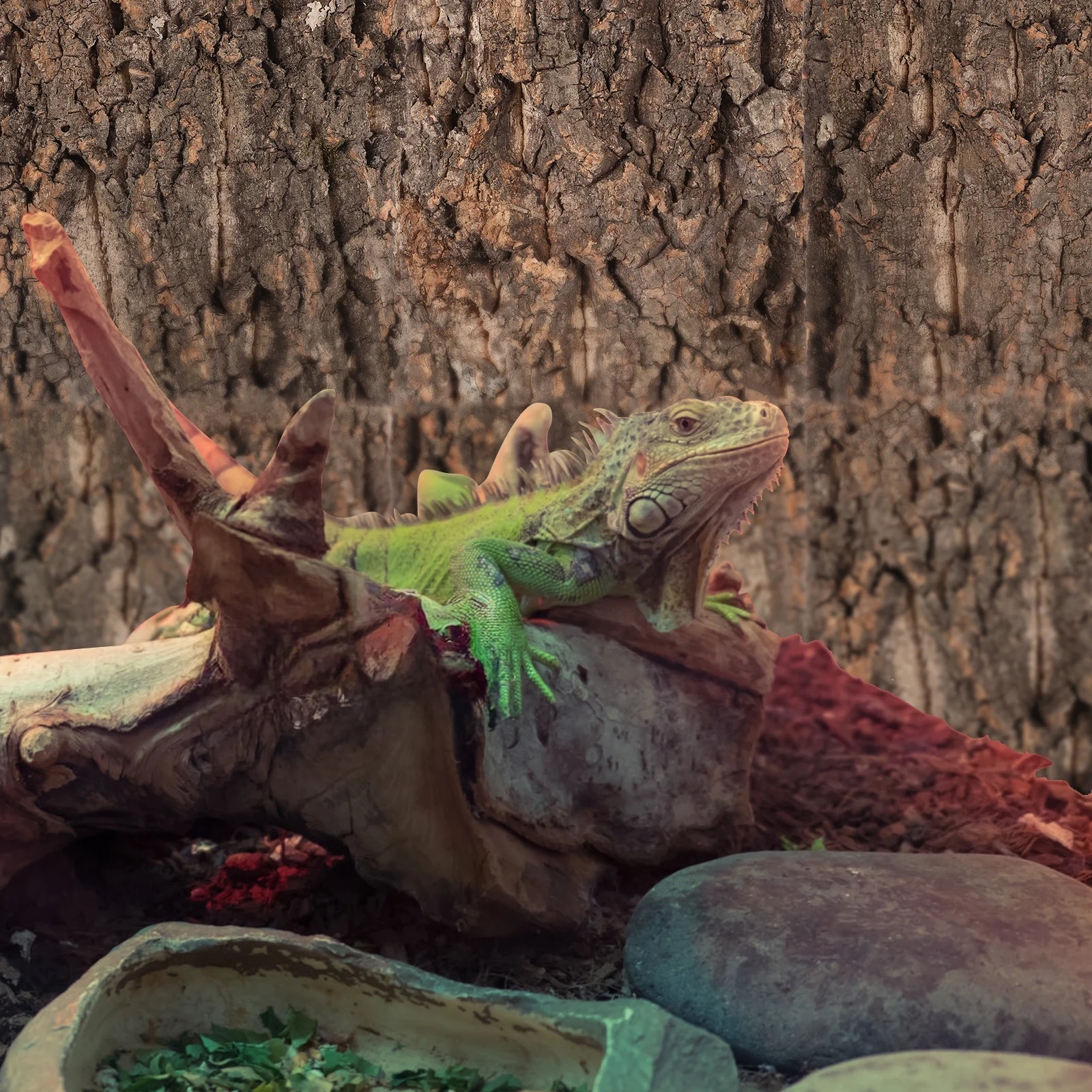 4 szt. Dekoracji do akwarium z korku, płaskie elementy, tło do terrarium dla gadów, ściana do wspinaczki dla jaszczurek i gekonów, dekoracja do akwarium, habitat