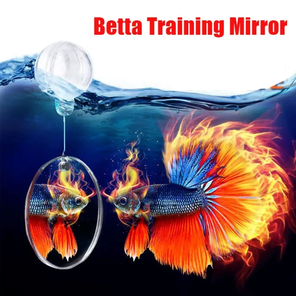 Betta Training Mirror Fish Tank Decorations Dwustronne modele luster Betta Domek dla lalek Plastikowe ozdoby akwariowe Fish Tank