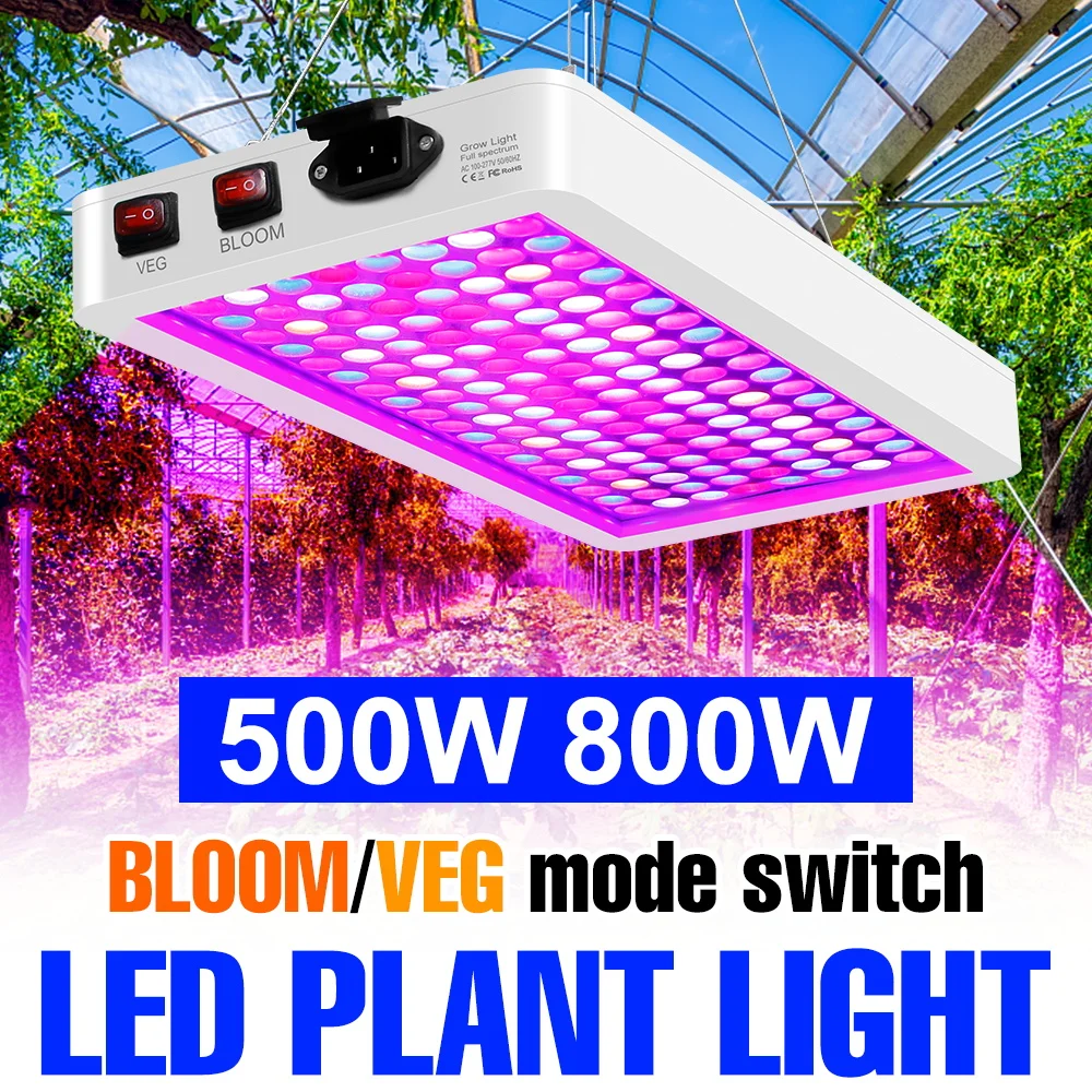 

Светодиодный фитосветильник 800 Вт, полный спектр, 500 Вт, для теплиц, гроубоксов, гидропоники, выращивания семян, фруктов и овощей
