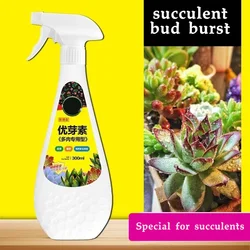 La planta suculenta Eugenin promueve la floración, la grasa enana, previene el esparcimiento de gránulos orgánicos, suculentas y suculentas, 300ml