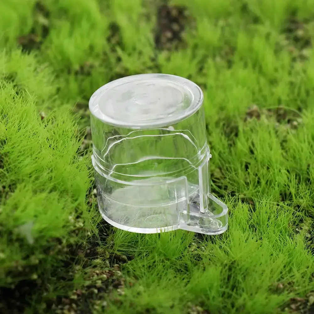 Mini 1PC Transparent Durable for Cricket Acrylic Ant Feeder Ant Nest House Reptile Drinking Bowl Ant Water Dispenser