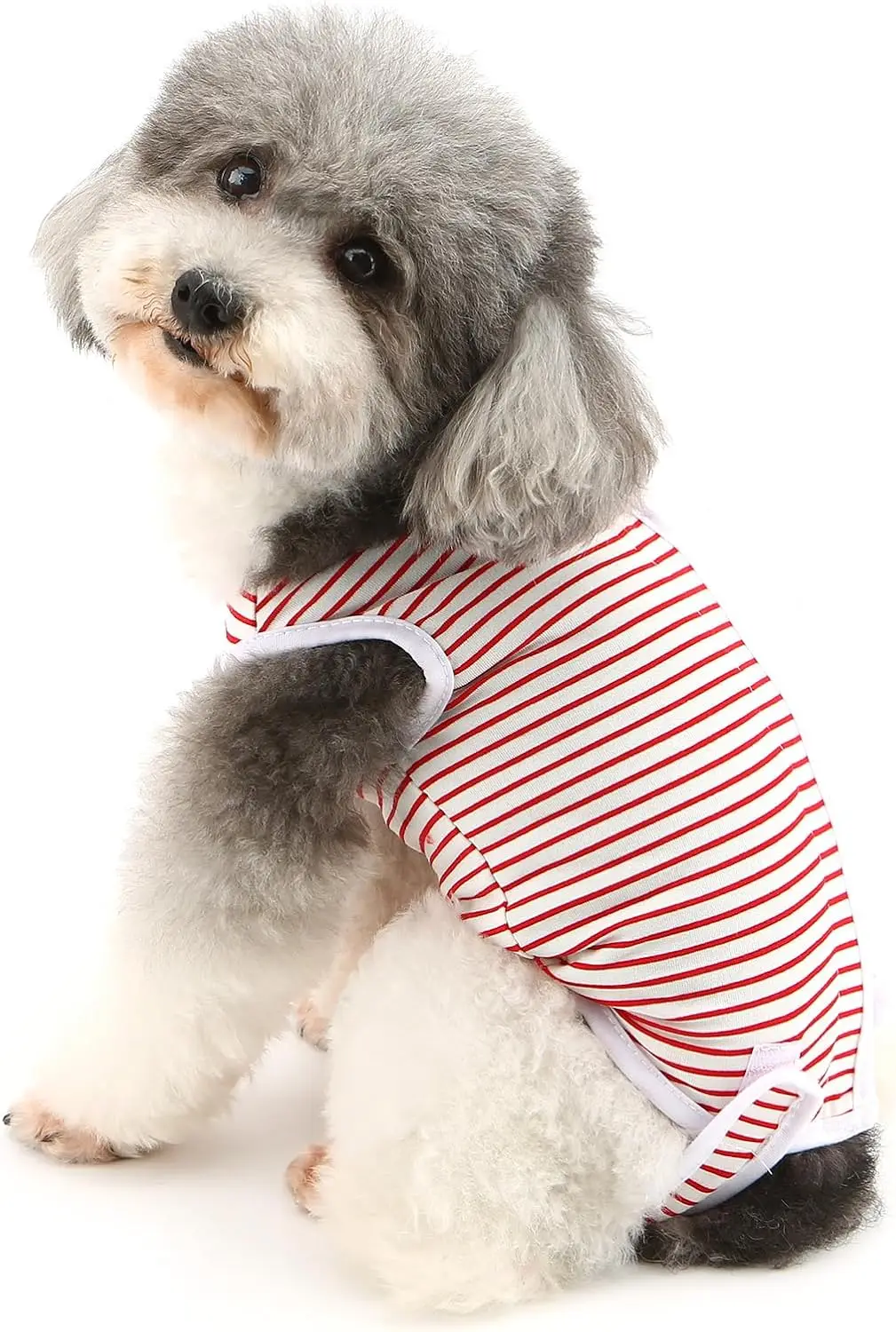 2PCS Cat Recovery Suit for Male Female Small Dog Onesie for Surgery Spay Neuter, Anti-Licking Skin Diseases Pet Pajama