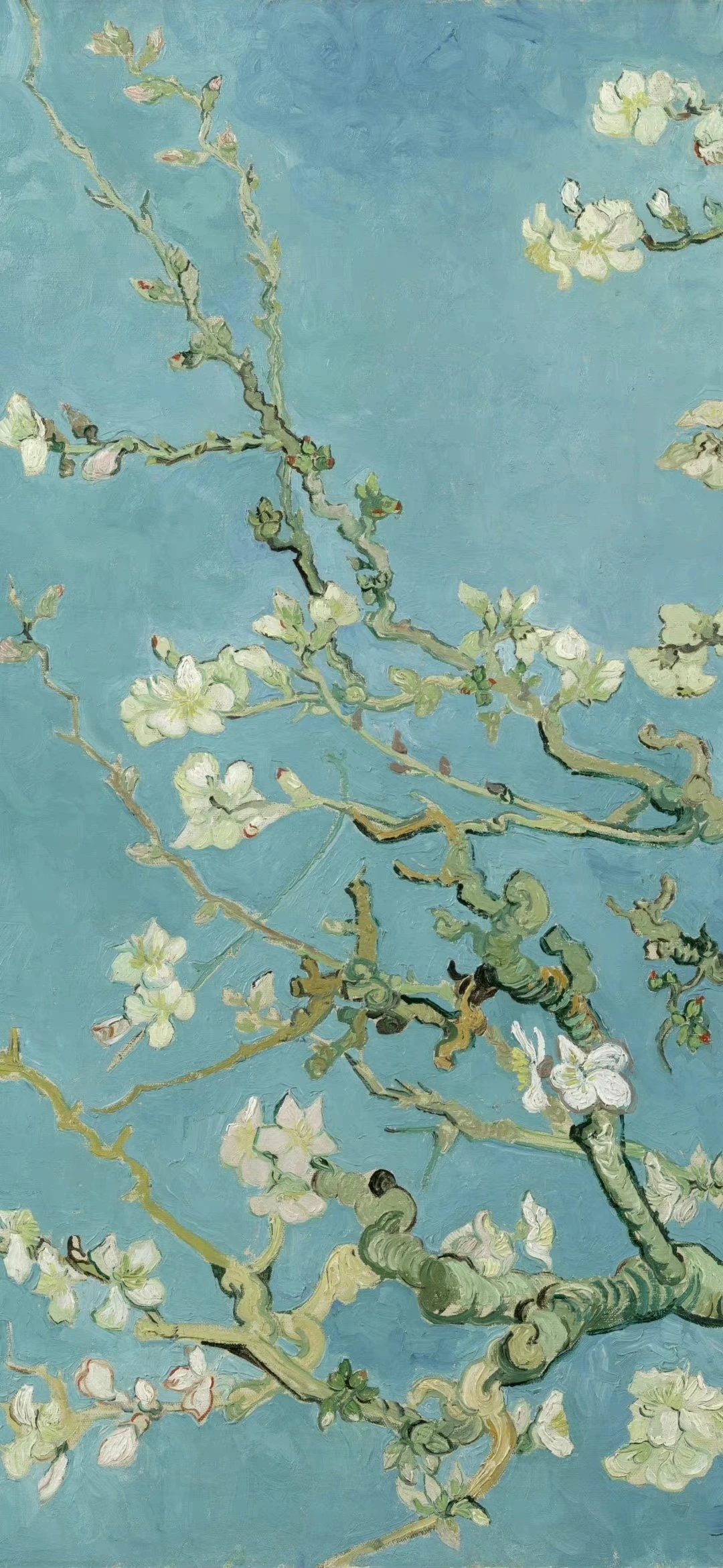 CNC تشكيله سبائك الألومنيوم سيرفو حامل S3003 سيرفو جبل ل RC طائرة قارب سيارة سيرفو #1