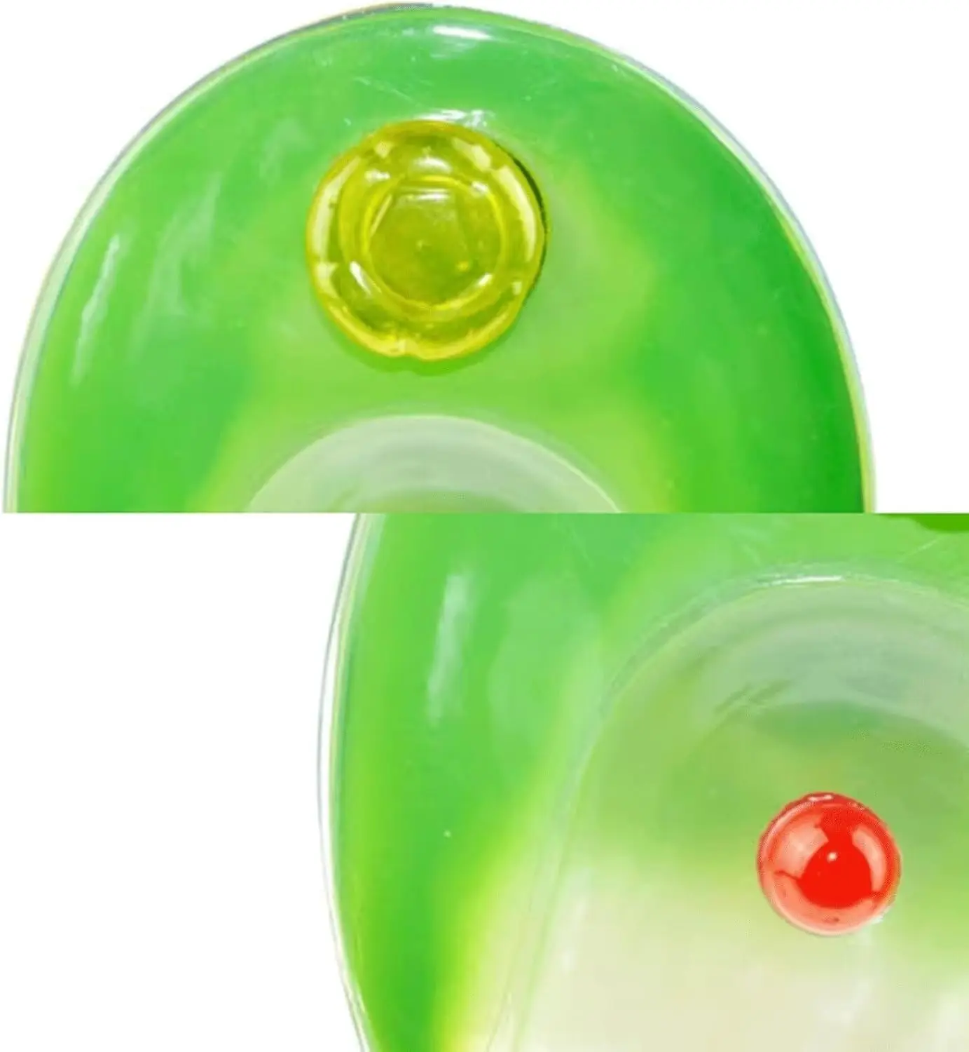 Mycoplasma model Single-cell green plant anatomy model