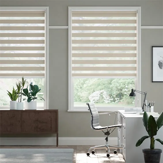 Zebra Blinds for Windows Dual Layer Light Filtering Roller Shades Privacy Light Control Custom Size Window Coverings For Bedroom
