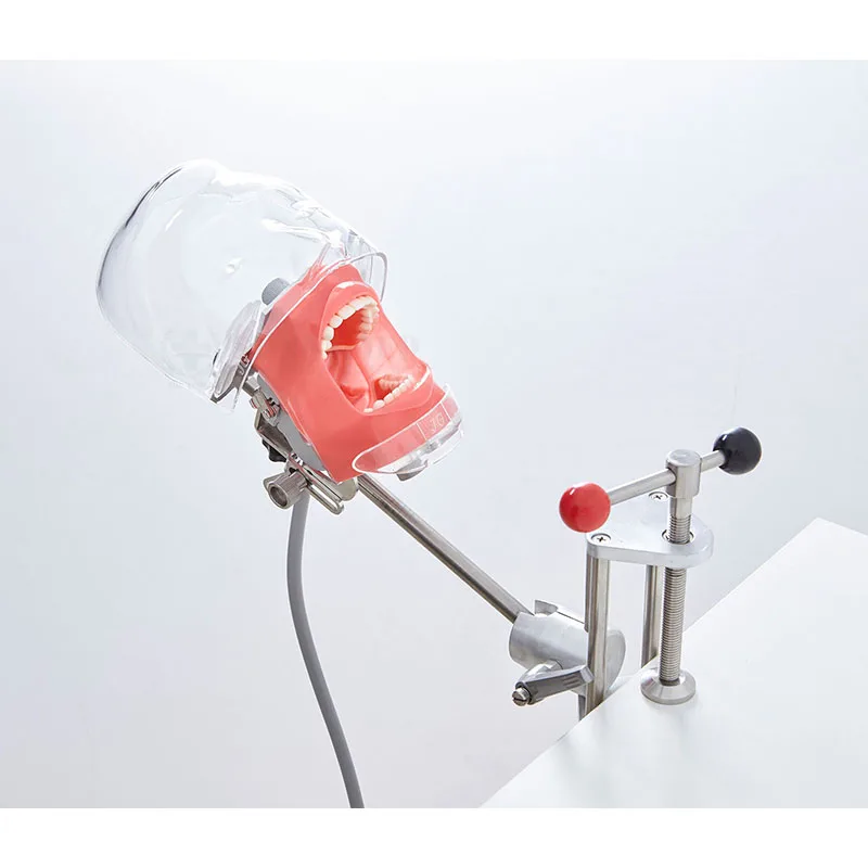 YTYIN SY-YM14-2 نموذج لشكل الأسنان محاكاة فانتوم ورشة عمل أكاديمية القزم للتدريب على ممارسة تعليم طبيب الأسنان #1