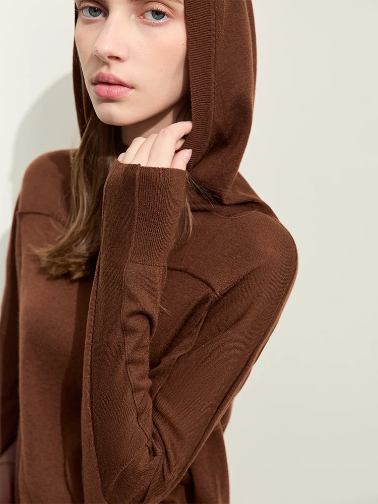 AMII-suéter minimalista con capucha para mujer, abrigo ajustado de manga larga con Cuello medio alto, Tops de punto para mujer 2024