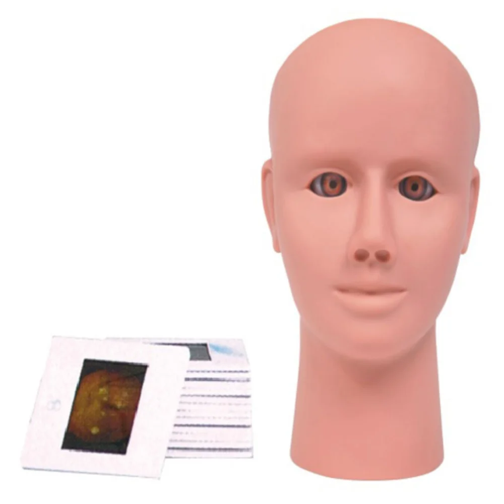 Advanced Intraocular Retinopathy Examination Model Medical Science Human Eye Diseases Simulator Educational Supplies Teaching Ma