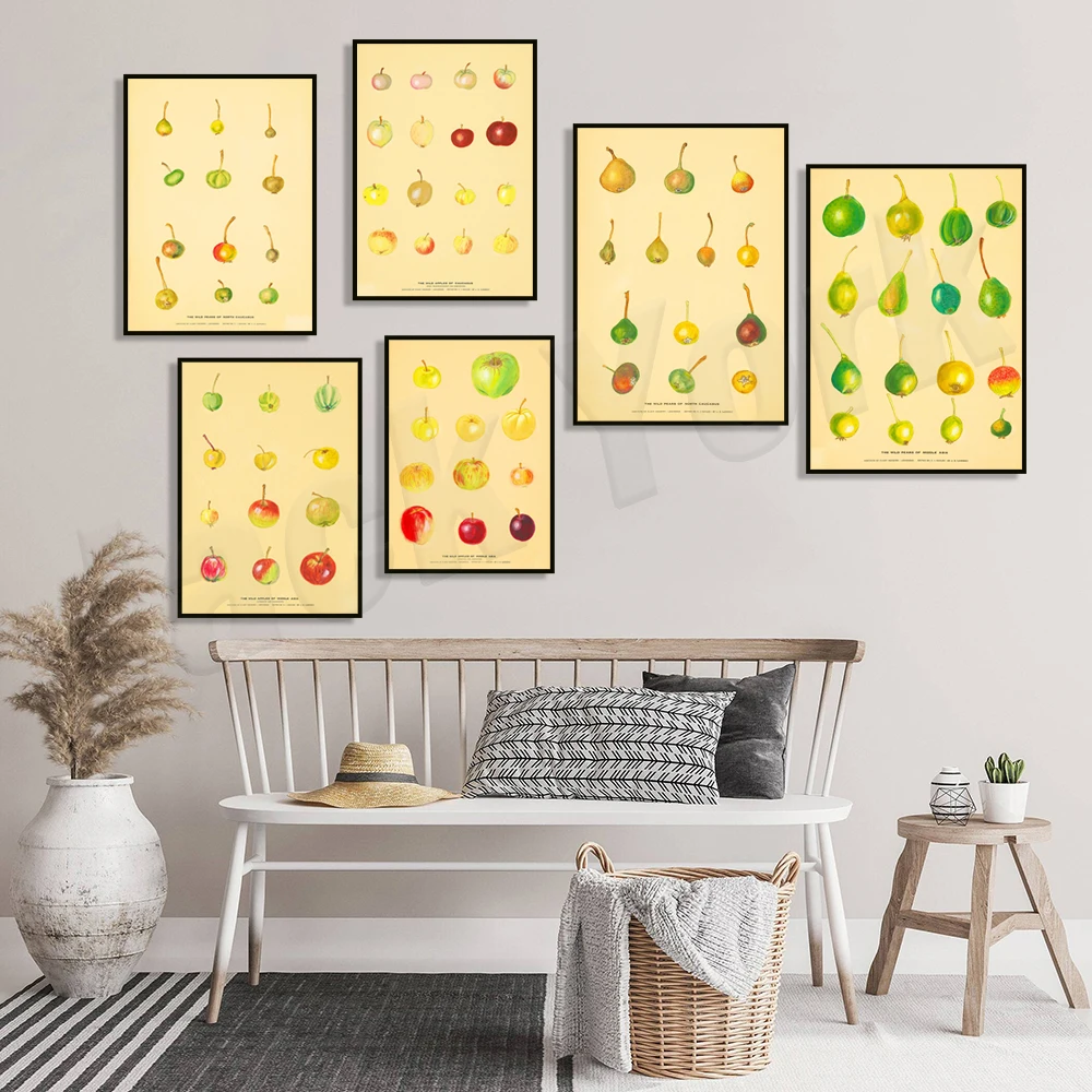Poster da cucina di frutta Pos - Plant Jackfruit recensione e prezzo