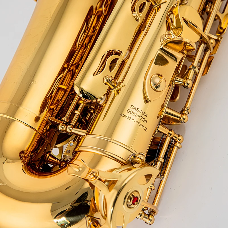 Fast shipping  High-Quality Alto Saxophone, E Tone SAS-R54, Capacitive Gold Finish, Comes with Case and Accessories,