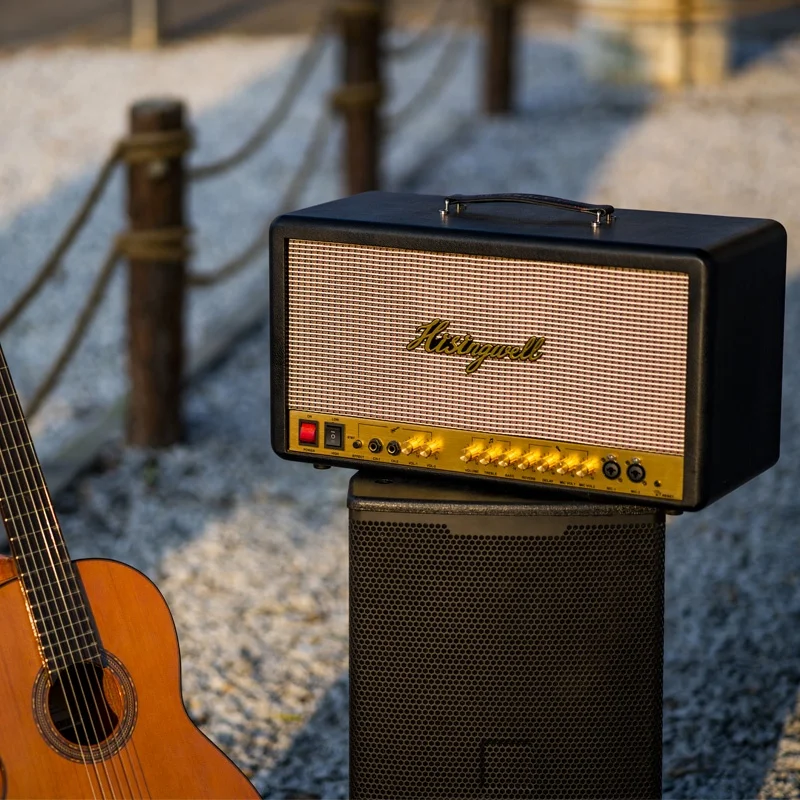 Voxfull MS06 기타 스피커 C INET 기타 콤보 앰프 (무선 마이크 및 스탠드 포함)