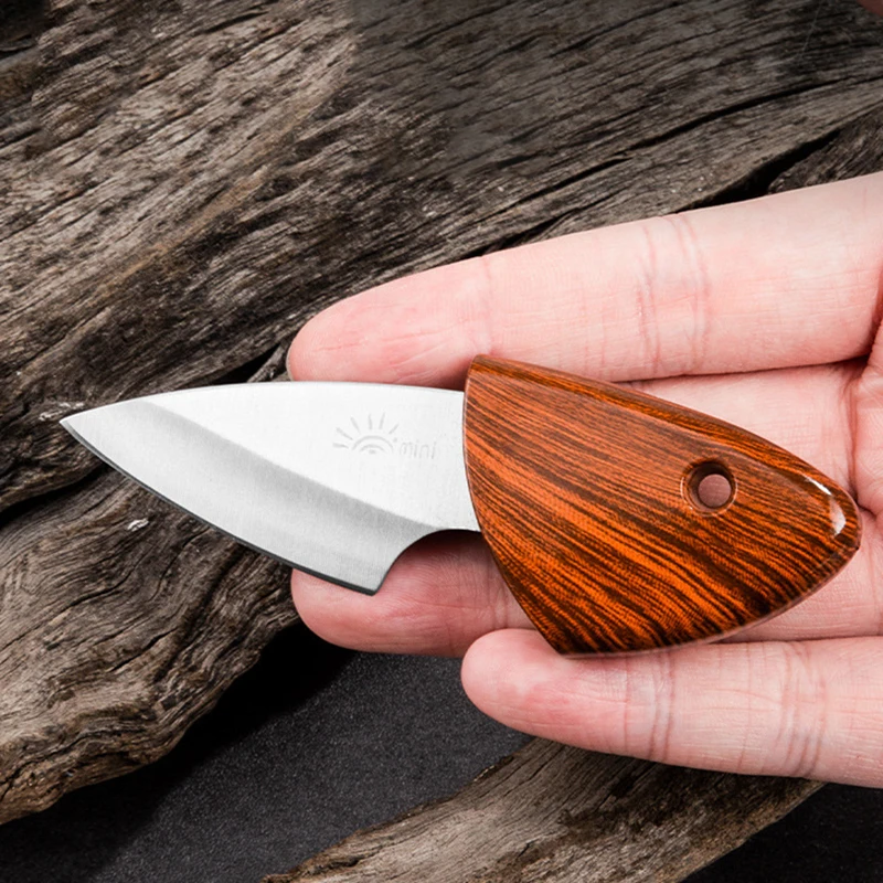 Mini Pocket Small Fat Pork Fruit Knife Outdoor Dismantling Express Portable Small Fat Dolphin Knife