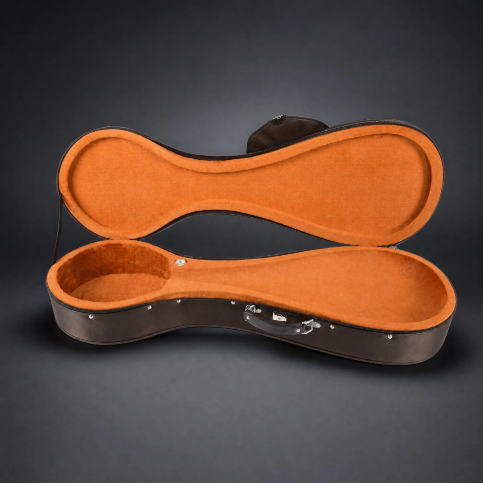 Hard-Shell Pipa Storage Case Portable Pipa Instrument Case for Musicians, Travel, Performances