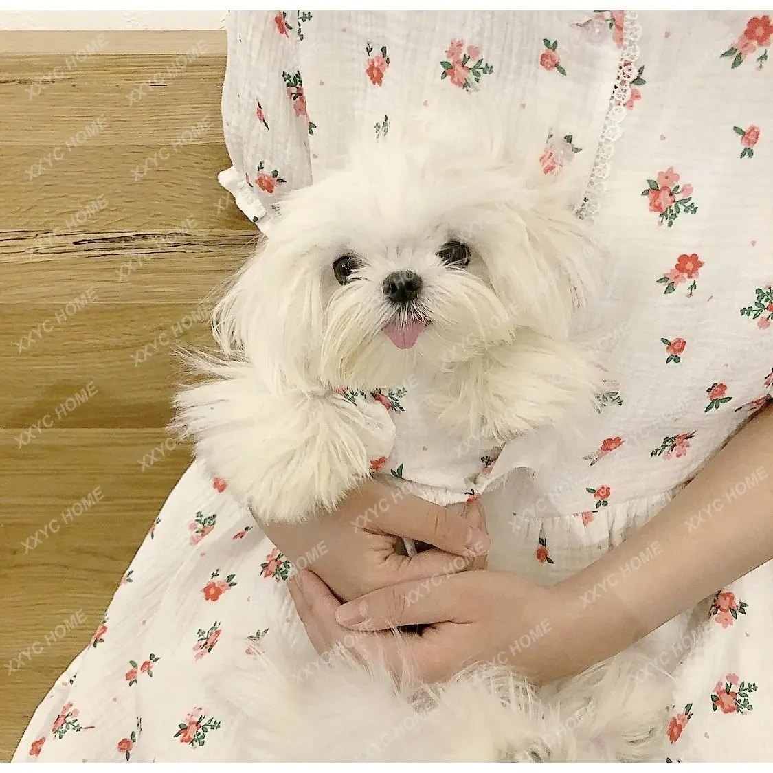 

Dress Pet Clothing Dog Clothes Cat Clothes Winter Cute Clothes