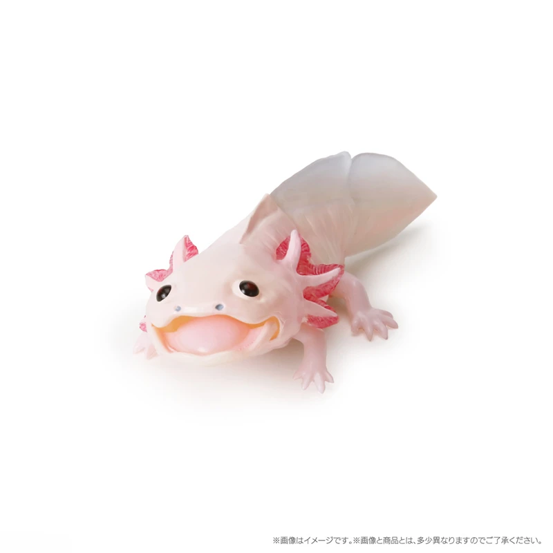 Cynops Orientalis Salamandrid Emulation Creature Model Collection Gashspon Capsule Toy Children Gifts