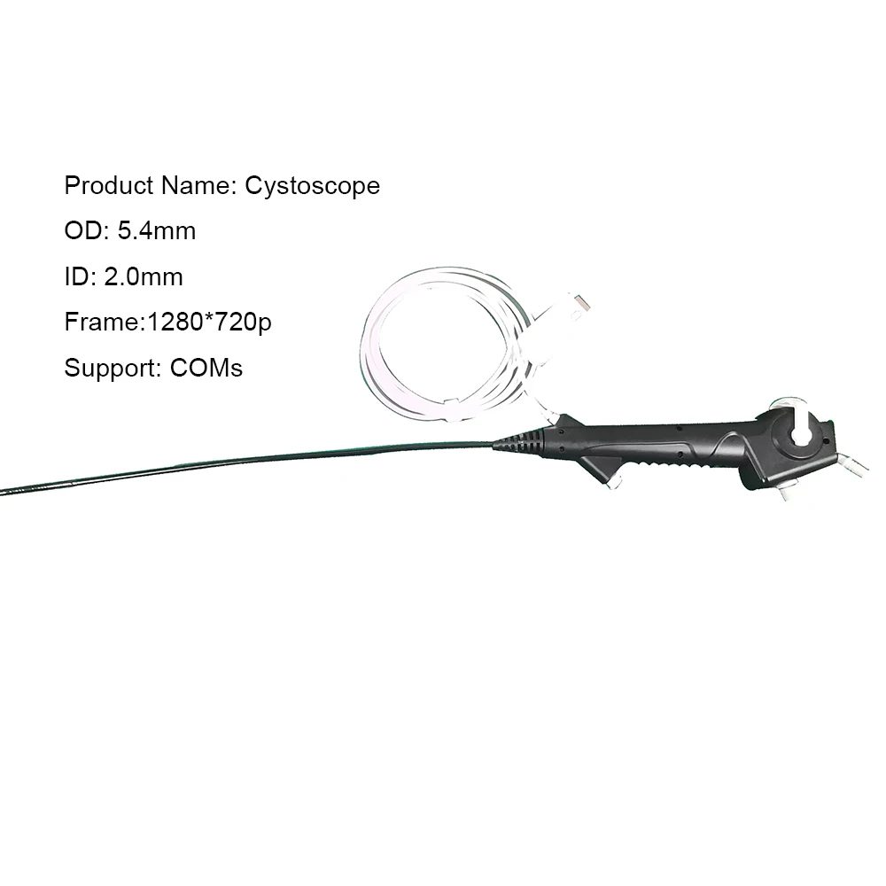 OD5.4mm* ID2.0mm Digital Flexible Veterinary Endoscopy Disposable Cystoscope Full HD 30fps At Discount