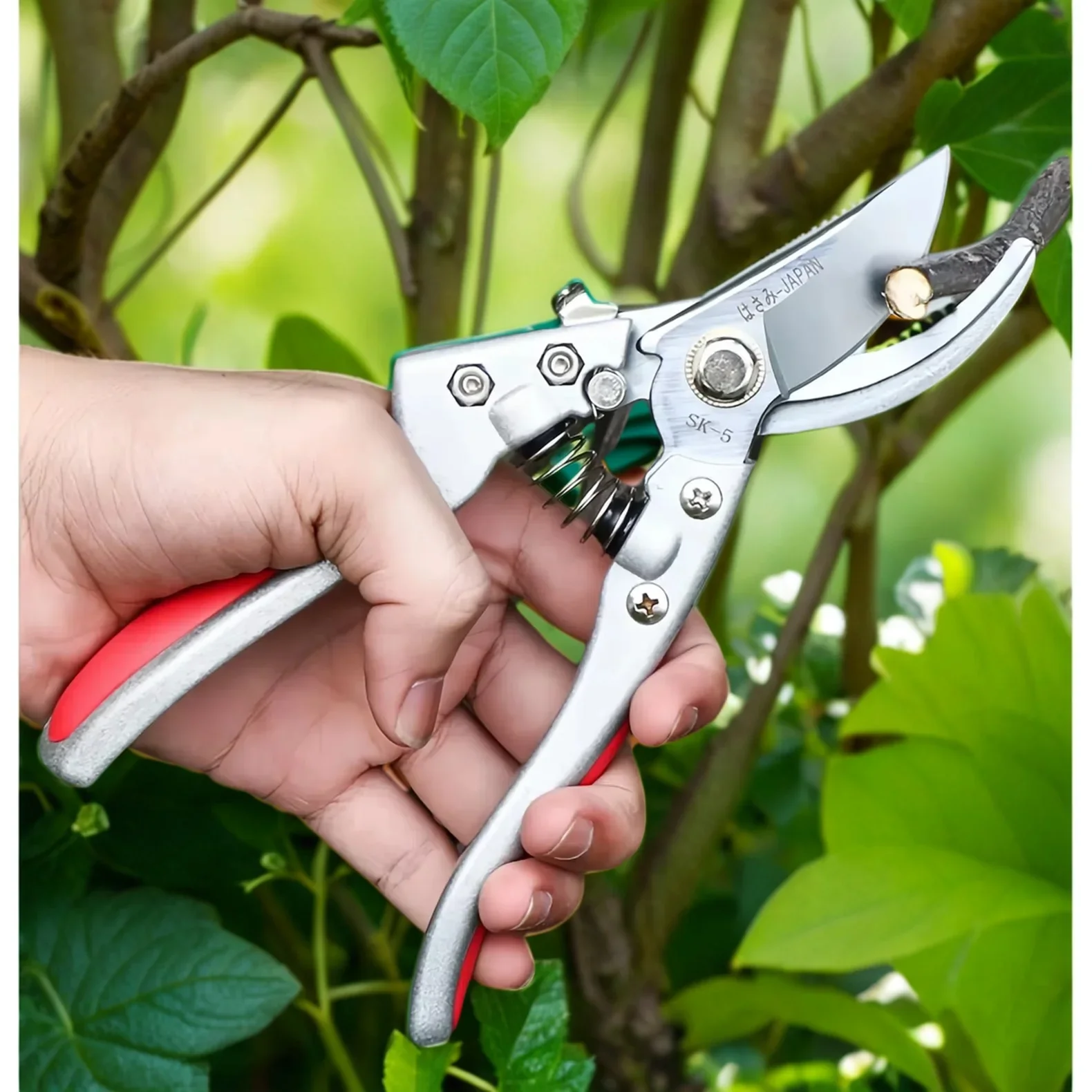 

Профессиональные садовые секаторы со стальными лезвиями SK-5 — прочная, легкая резка для больших ветвей фруктовых деревьев