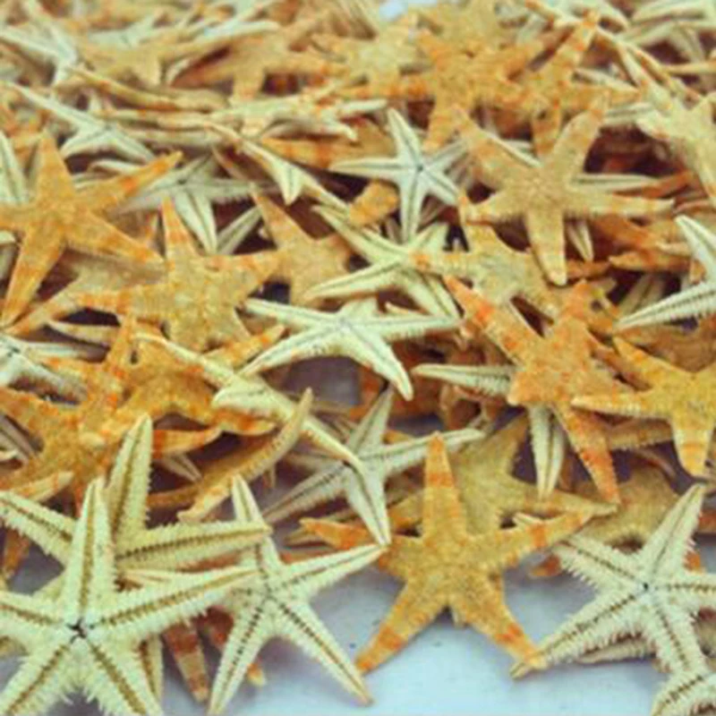 100/50 Pcs New Simulation Natural Starfish Micro Landscape Decoration Hanging Photo Frames Candles Handicrafts Home Accessory