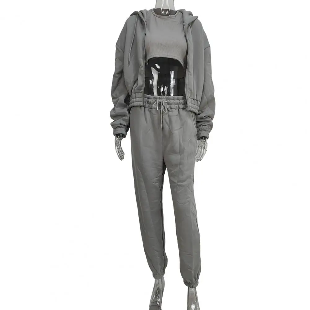 

Women's 3-piece Trousers Velvet Hooded Sweatshirt Sports Casual Outfit Casual Long Sleeve Ribbed High Waist Pant Suits Sporty