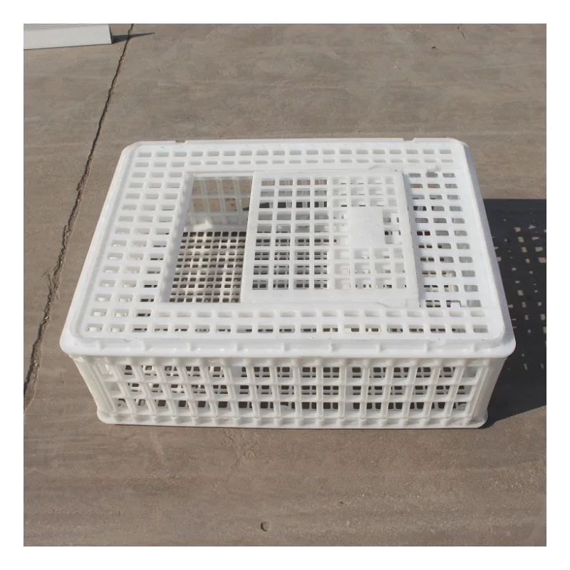 China Factory New Plastic Turnover Crate Boxes Live Chicken Poultry Transport Crates With 1 Year Warranty