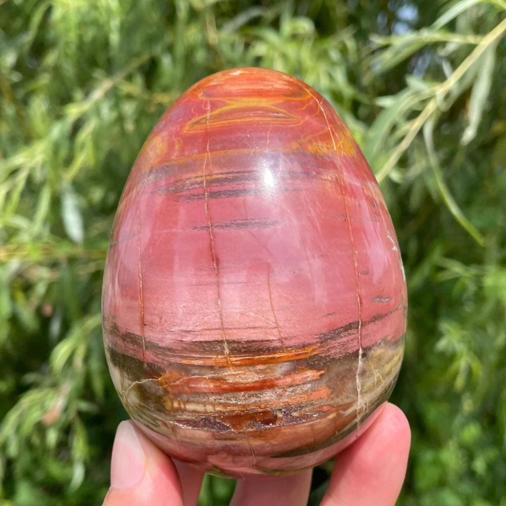Natural Petrified Wood Egg Ornament, Polished Stone Egg, Mineral Specimen, Energy Home Decor, Gifts for Easter, Helloween