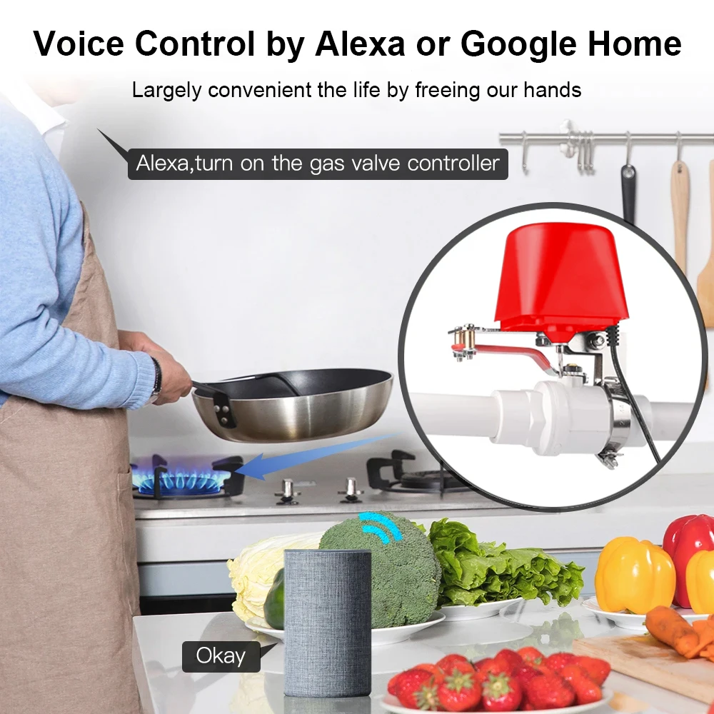 Tuya Zigbee Smart Gas Valve Garden Water Shut Off Timer Irrigation Controller with Alexa Google Assistant Smart Life(Red Color)