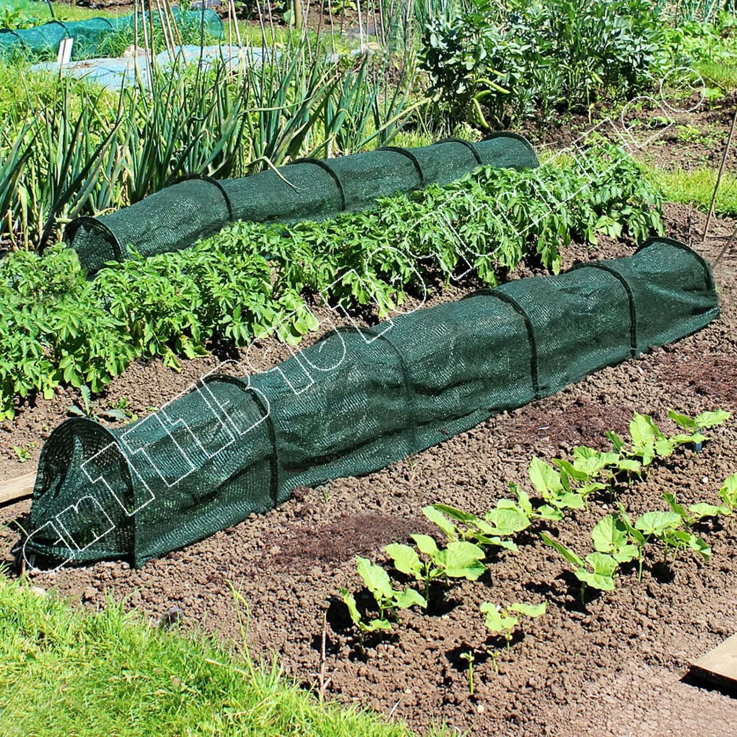 2-In-1 Portable Greenhouse Sunscreen, 3-meter Long Fast-release Garden Tunnel Sunscreen Cover