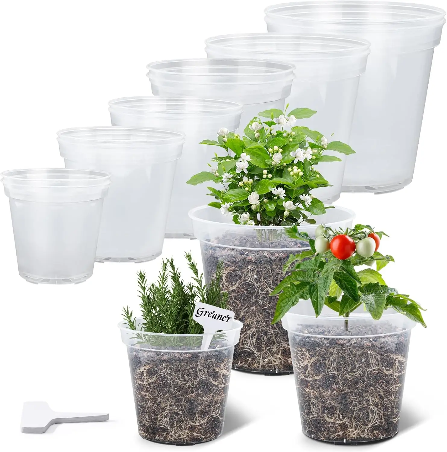 

Clear Plastic Plant Pots with Holes and Labels, 5-10 Inch Set of 15 for Orchids and Seedlings