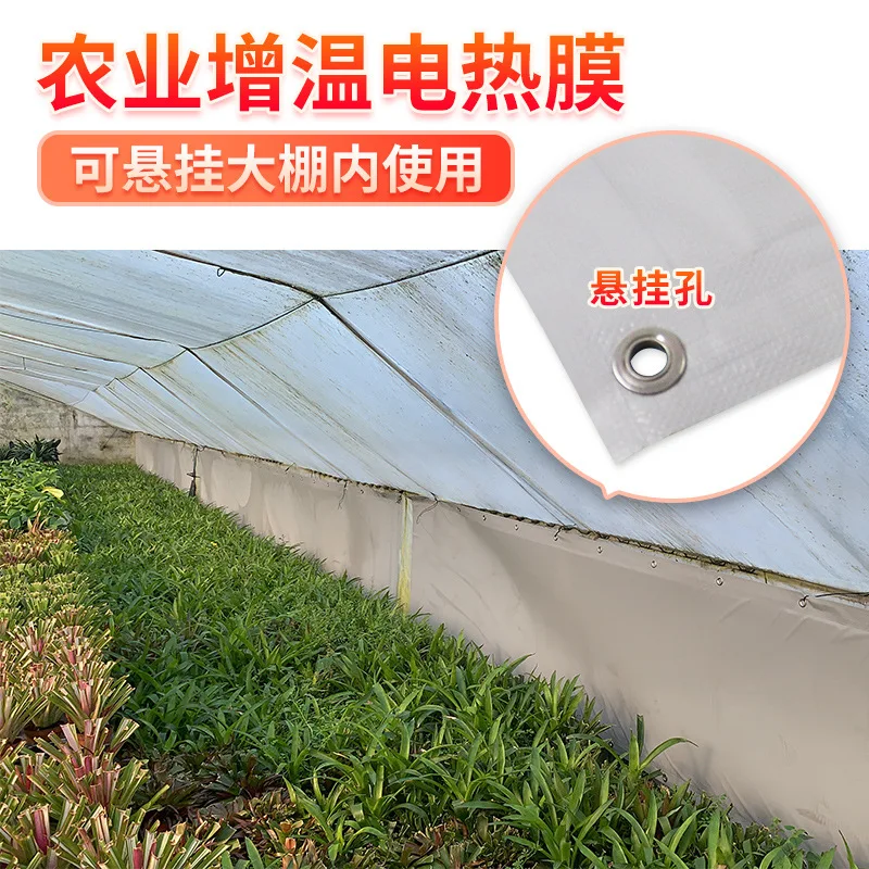 Agricultural electric heating film seedling bed heating greenhouse winter insulation anti-freezing damage vegetable greenhouse