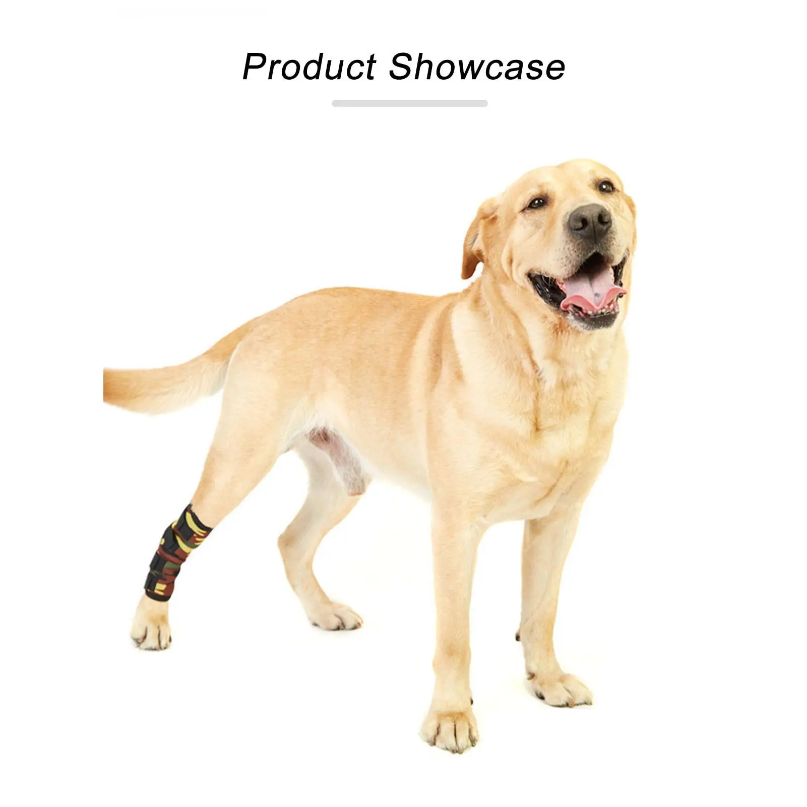 

Adjustable Dog Knee Brace - Joint Support Protector for -Surgery Recovery, Leg Stability Aid