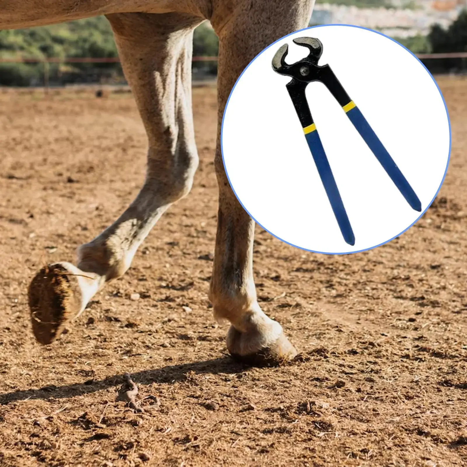 Recortador de pezuñas de caballo, cortaúñas profesional, herramientas de reparación de pezuñas, duradero, fácil de usar